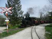 Eisenbahnromantik am Baumschulsee [Peter Gysel/2008]